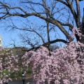 Festivals in Essex County, MA: Cash or Credit? A Guide from an Event Planning Expert