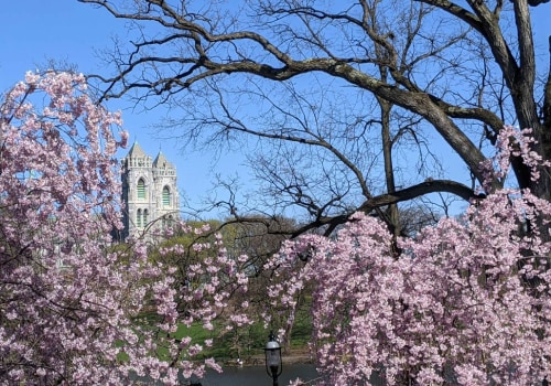 Festivals in Essex County, MA: Cash or Credit? A Guide from an Event Planning Expert